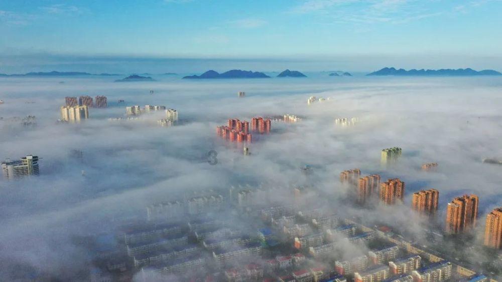 手脚冰冷吃什么好