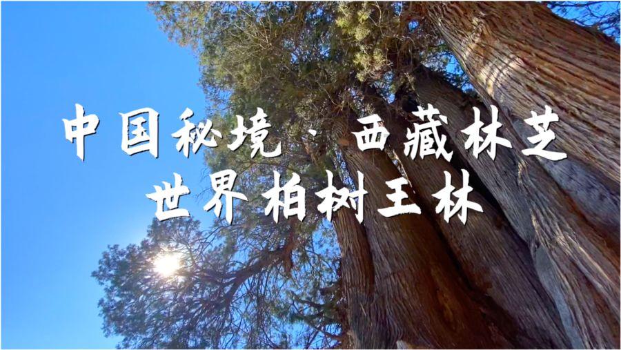 智己汽车刘涛：智己LS6通勤模式先行版将于第一季度公测