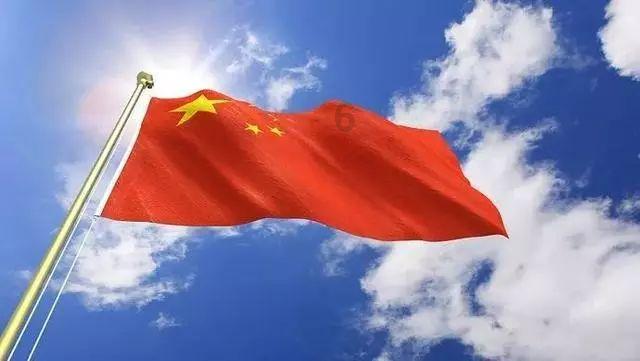 动物帮帮忙保卫家园