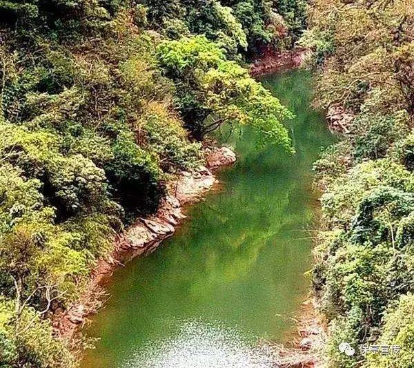 将大通湖区打造成“洞庭虾蟹水草之都”